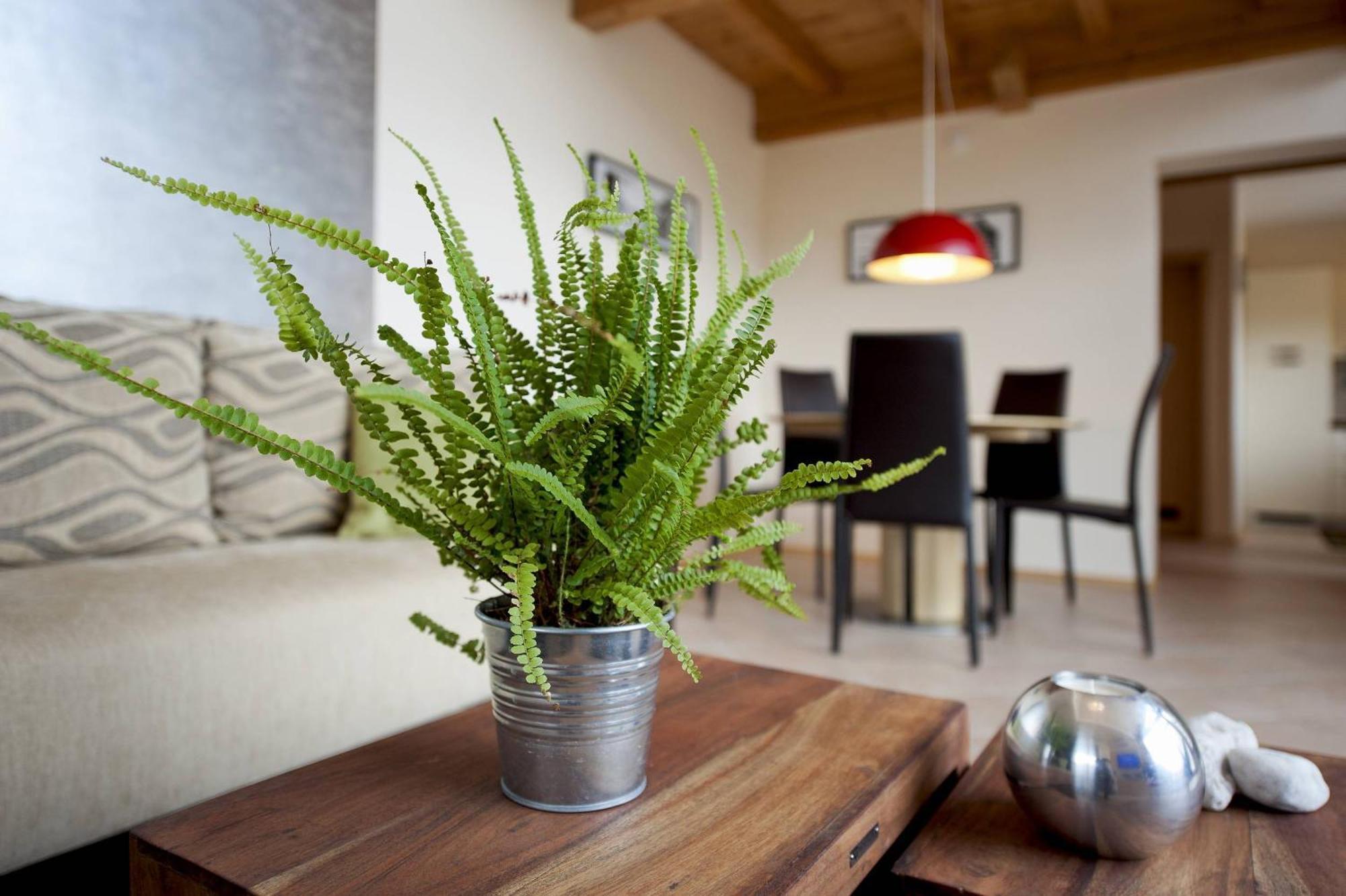 Apartments Pri Nas Kobarid Zewnętrze zdjęcie
